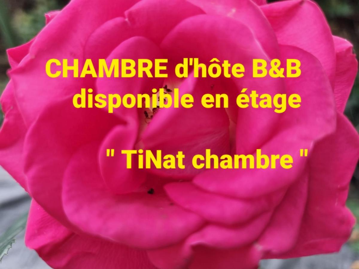 Tinat Studio Douarnenez Extérieur photo